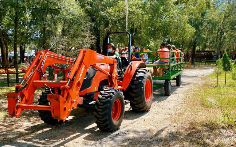 tractor pulling hay ride cart with crowd at santas farm eustis