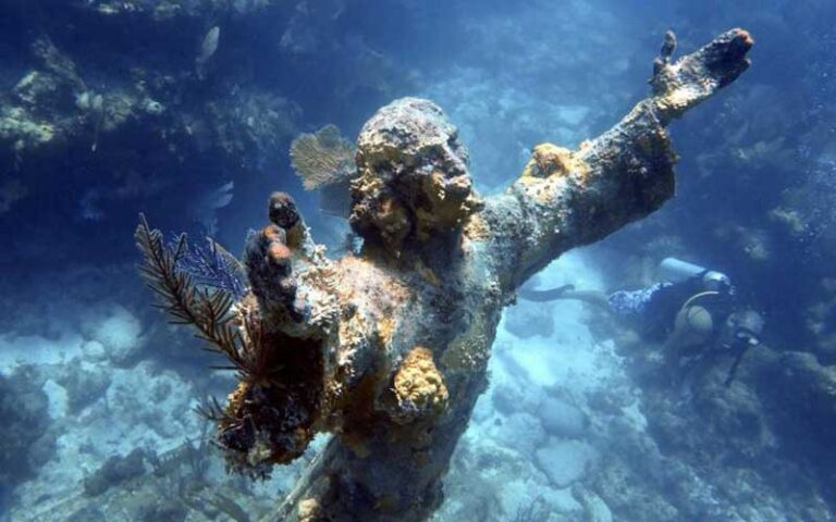 underwater snorkeling area coral reef with jesus statue at john pennekamp coral reef state park key largo