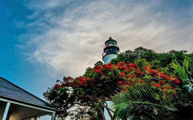 view looking up at lighthouse through red blooming tree at key west lighthouse and keepers quarters museum