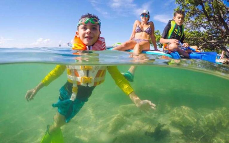 young boy snorkeling in green water at john pennekamp coral reef state park key largo