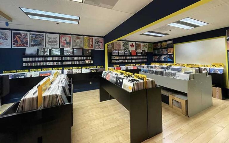 aisles of vinyl albums at radio active records fort lauderdale