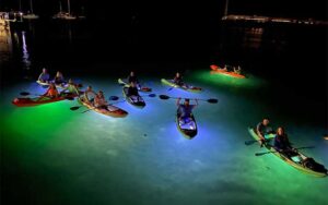 blue and green lighted kayaks in dark water at night kayak key west