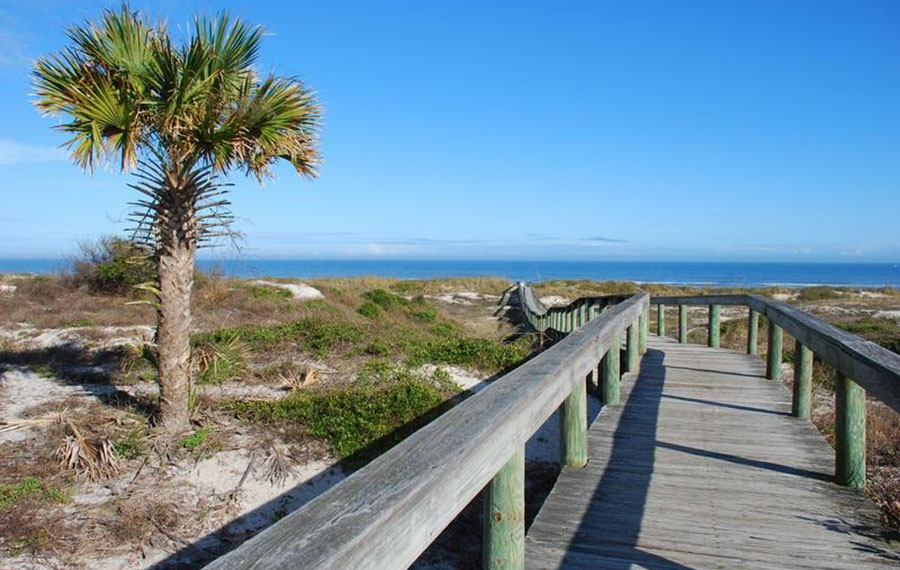boardwalk across dunes with palm tree beach and blue sky at hanna park