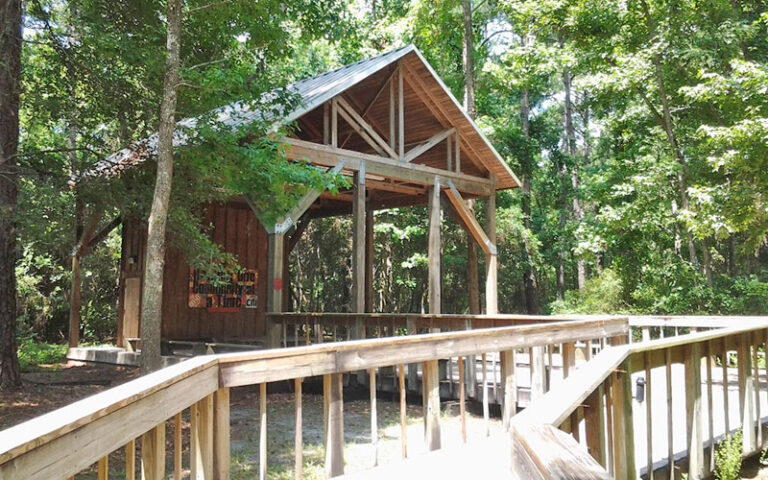 boardwalk in wooded area with instructional theater at tillie k fowler regional park jacksonville