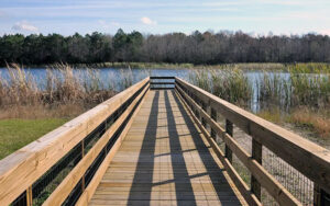 dock on pond with reeds at william f sheffield regional park jacksonville