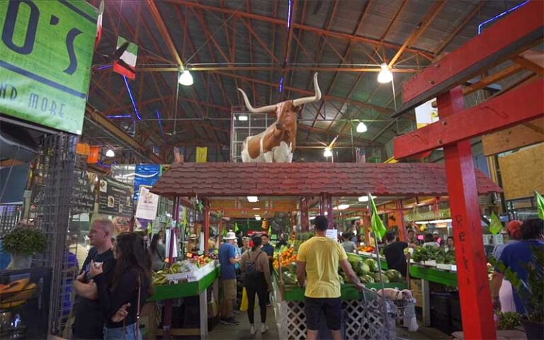 entrance to marketplace with stalls and life size steer at yellow green farmers market hollywood fl