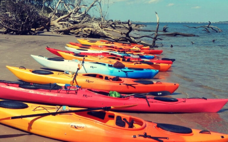 many colorful kayaks on driftwood beach at adventures up the creek jacksonville
