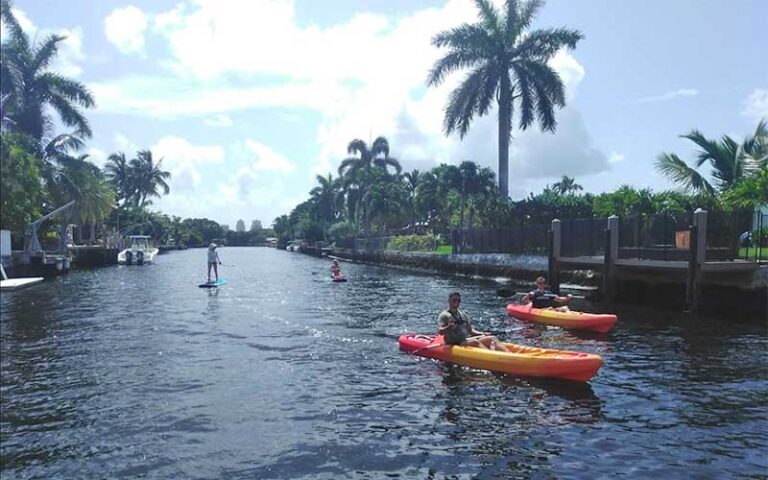 paddle boards and kayakers on inlet at sunrise paddleboards fort lauderdale