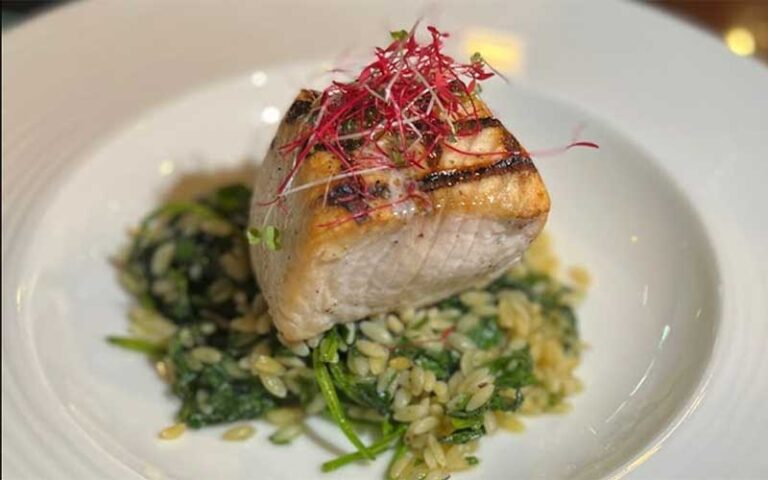 portion of pork cutlet on risotto entree at bijou garden cafe sarasota