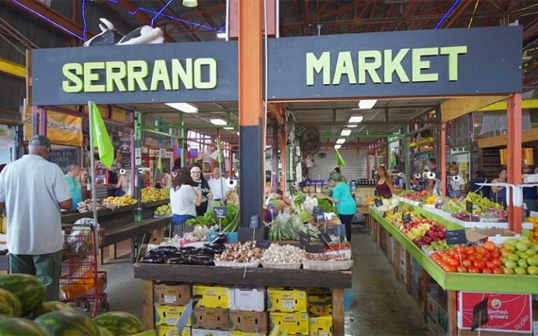 produce area with shoppers at yellow green farmers market hollywood fl