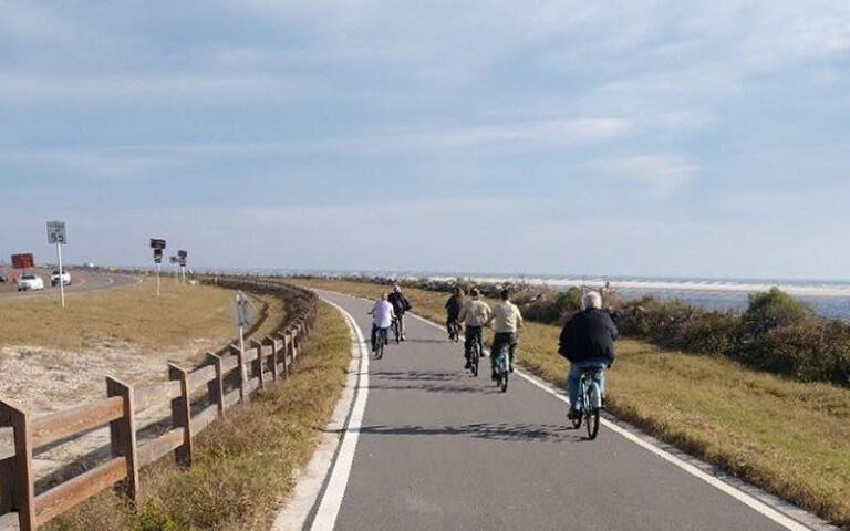 row of bicycle riders on paved trail between a1a and coast at amelia island state park jacksonville