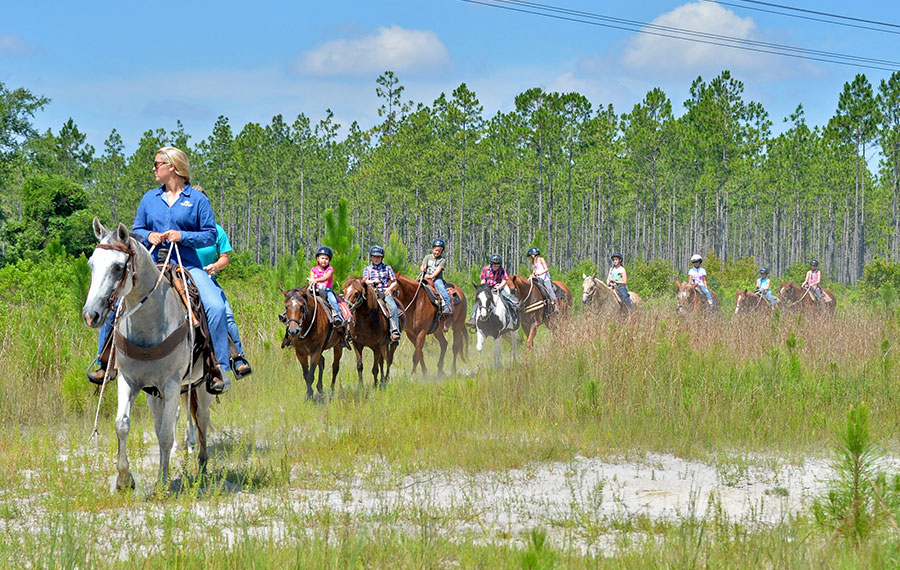 row of horseback riders with guide at diamond d ranch