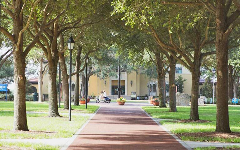 row of trees in park pathway with moped at park avenue district winter park