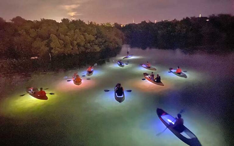 several illuminated kayaks in bay at night at night kayak key west