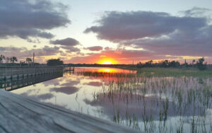 sunset over marsh lookout with boardwalks at castaway island preserve jacksonville