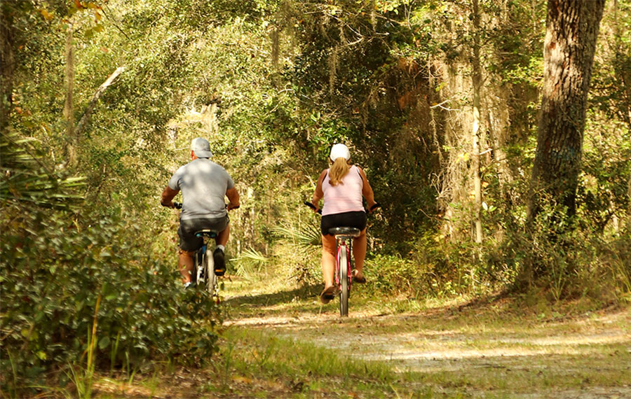 two mountain bikers on trail in the woods at timucuan ecological historic preserve