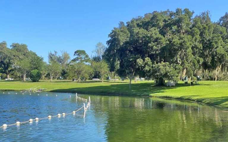 view across swimming pond with rope markers and big tree at warm mineral springs park north port sarasota