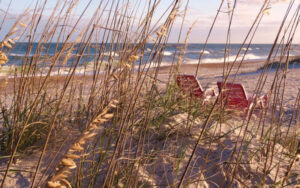 warm sunlight on sea oats at beach with chairs at amelia island state park jacksonville