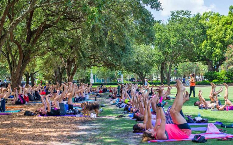 yoga class in park under trees at lake eola park orlando