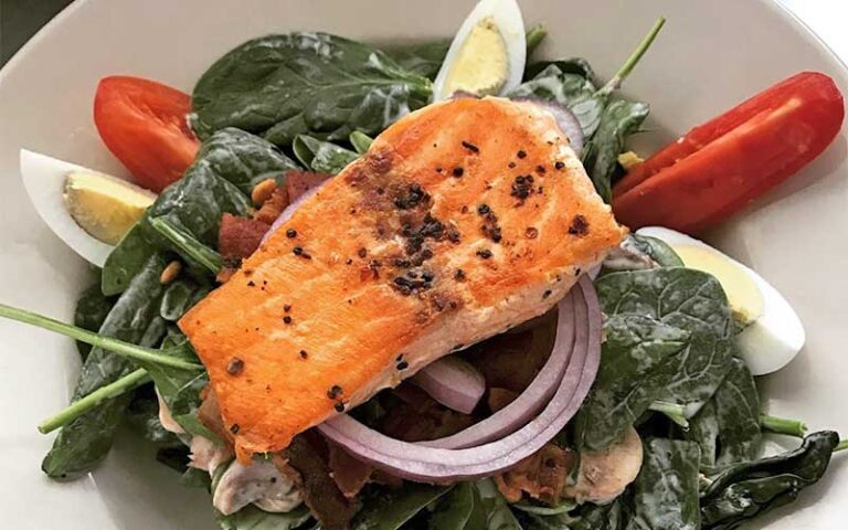 baked salmon salad at mcgregor cafe fort myers