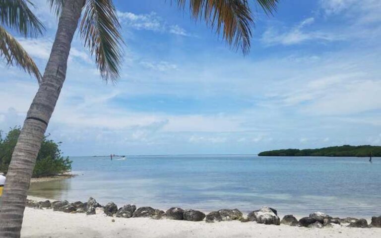 beach with rocks and palm and boat on water at lovers key state park fort myers