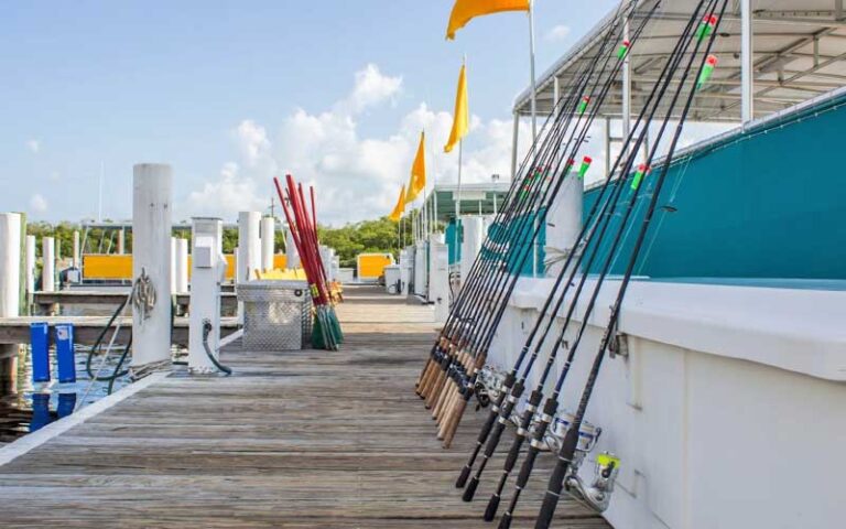 boat dock with row of fishing rods at adventures in paradise fort myers