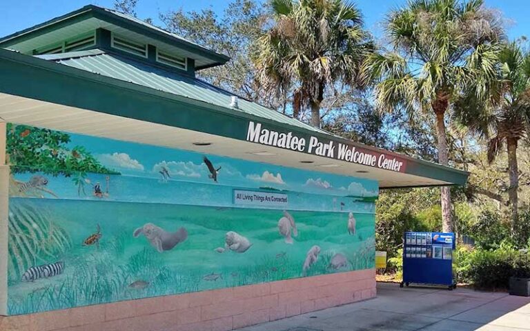building side with mural at manatee park fort myers
