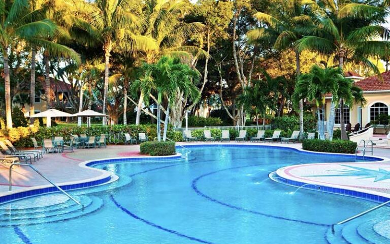 curvy swimming pool with trees and lounge chairs at the westin cape coral resort at marina village fort myers