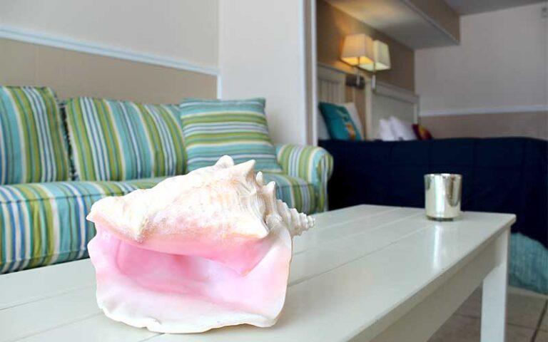 double bed sofa with conch shell room at lana kai island resort fort myers beach