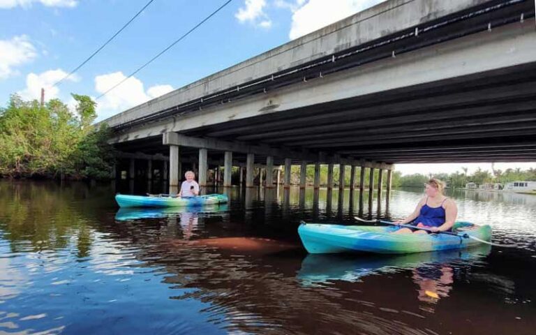 kayakers taking photos of manatee on surface under bridge at manatee park fort myers