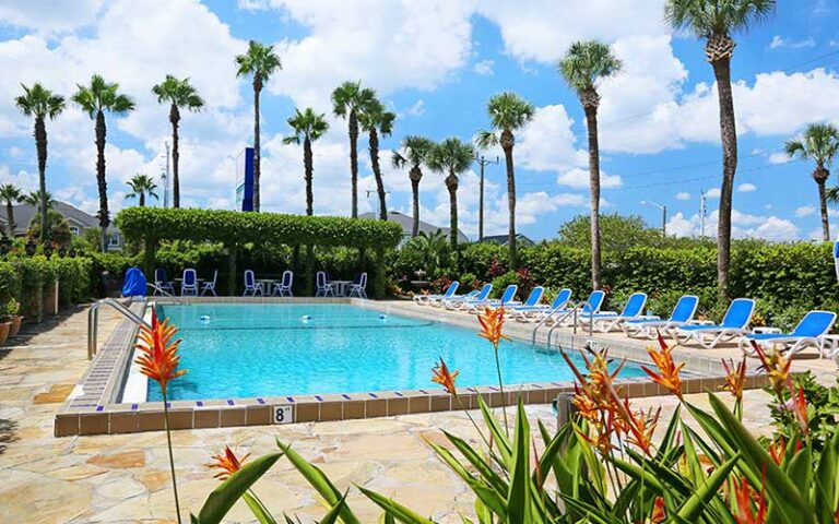 large heated pool with chairs and landscaping at la fiesta ocean inn suites st augustine beach