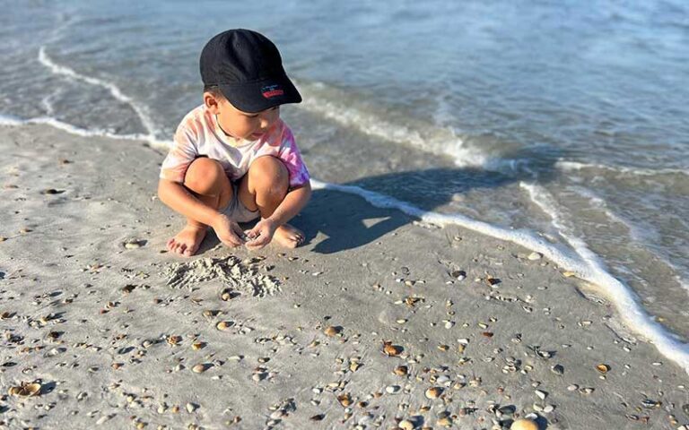 little boy picking up shells in surf at st augustine beach