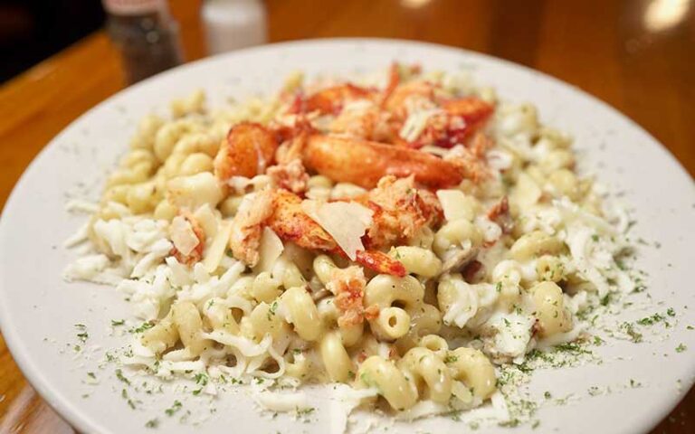 lobster mac and cheese at sunset grille st augustine beach