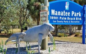 park sign with manatee statues at manatee park fort myers