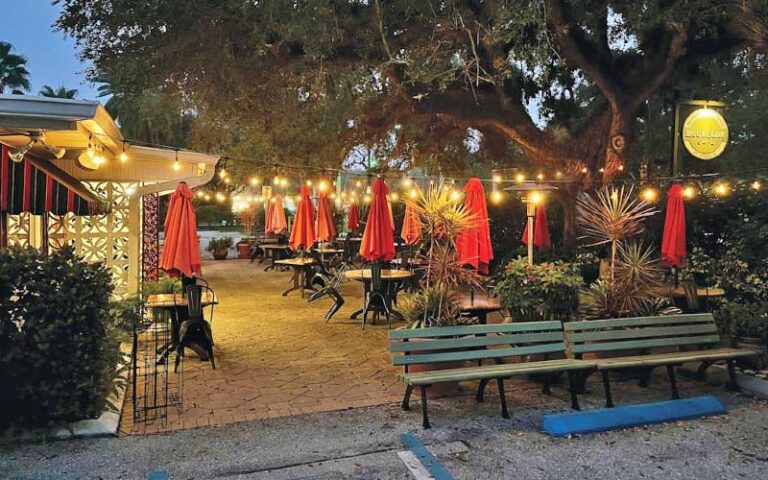 patio dining area under trees with string lights and red umbrellas at mcgregor cafe fort myers