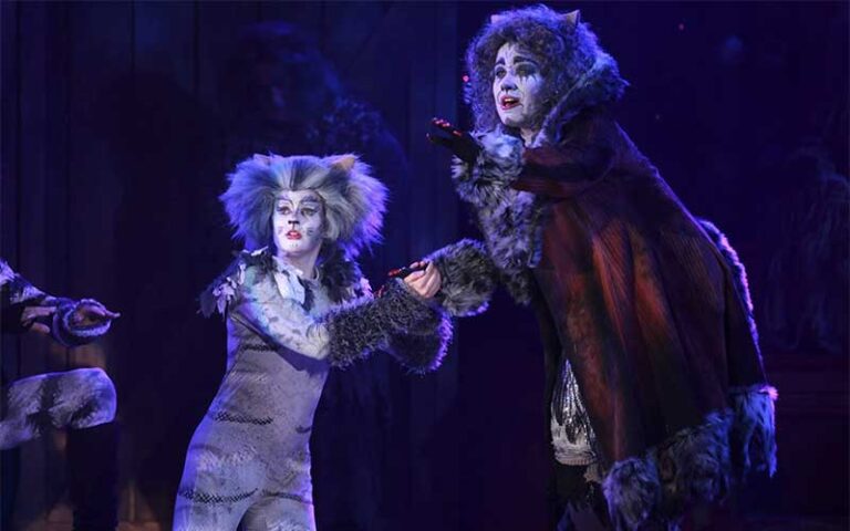 performers dressed in cat costumes on stage at broadway palm dinner theatre fort myers