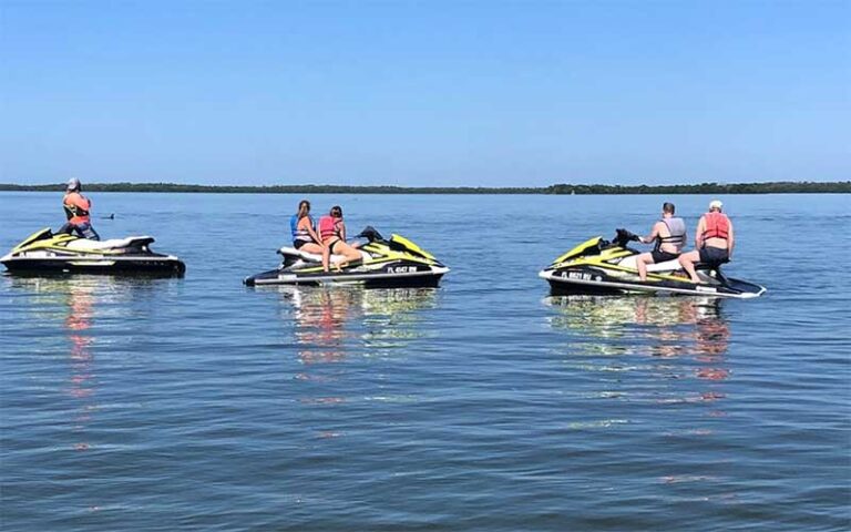 rider on jet skis looking at dolphins at all island watersports fort myers beach