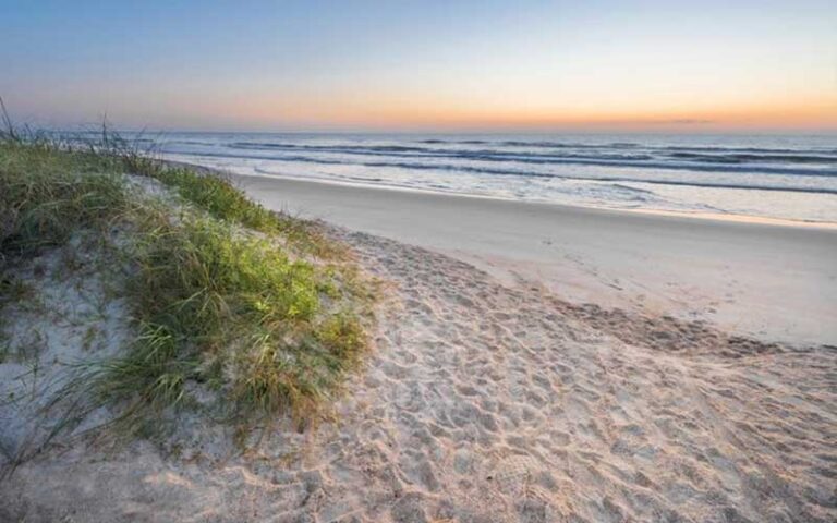 sand dune with grass and surf with sunrise at st augustine beach