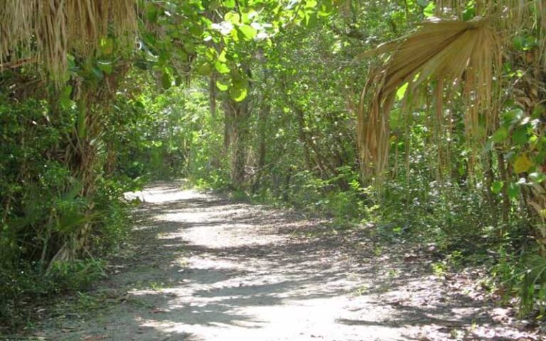 secluded trail through hammock at lovers key state park fort myers