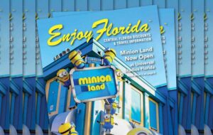 stacks of magazines with minion costumed characters at minion land universal studios for enjoy florida magazine cover