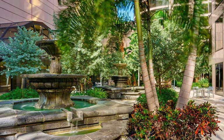 courtyard with fountain and palm trees at the westshore grand tampa
