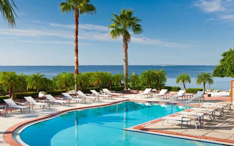 ell shaped pool with palms along terrace and bay view at grand hyatt tampa bay