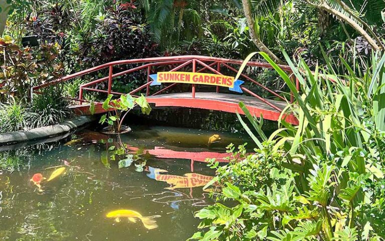 foot bridge with sign over koi pond at sunken gardens st petersburg