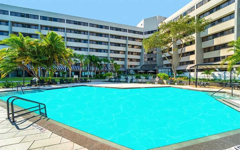 large pool in courtyard with palms at doubletree by hilton tampa rocky point