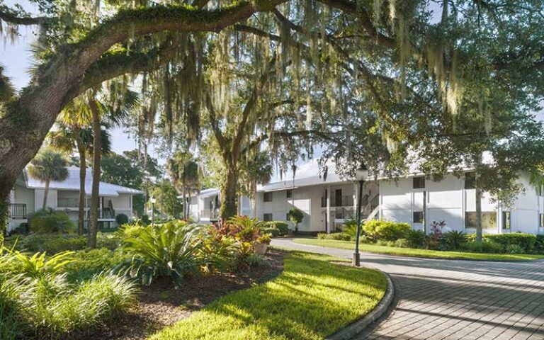 resort courtyard with landscaping and white buildings at saddlebrook resort tampa