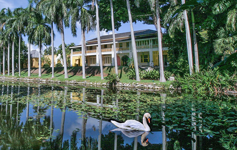 stately home on river bank with row of palms and swan in foreground at bonnet house museum gardens ft lauderdale