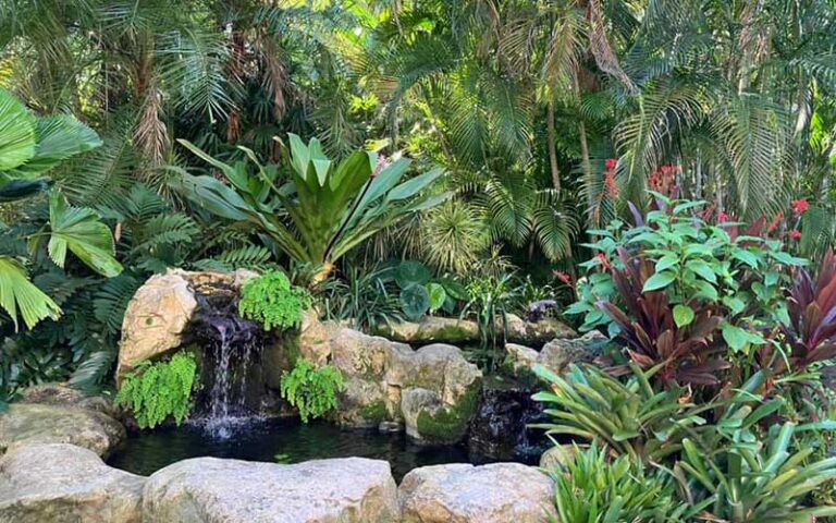 waterfalls and tropical plants at sunken gardens st petersburg
