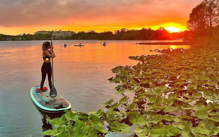 woman on paddleboard watching orange sunset over wetlands at epic paddle adventures orlando