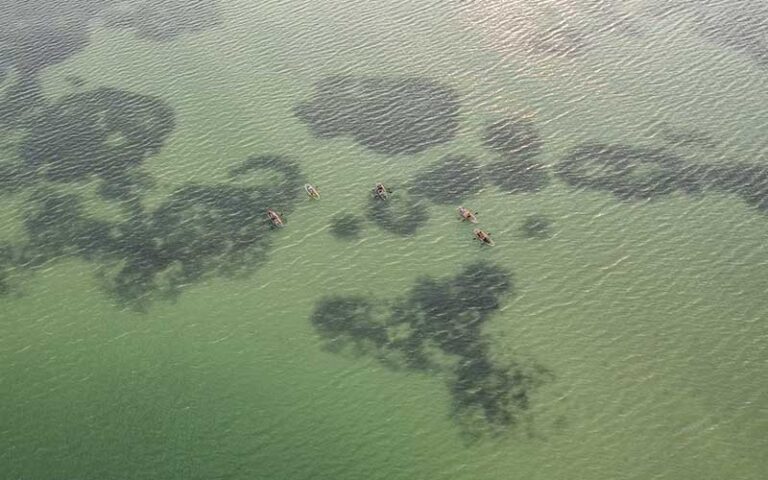 aerial view of five clear kayaks paddling across green bay at get up and go kayaking tampa