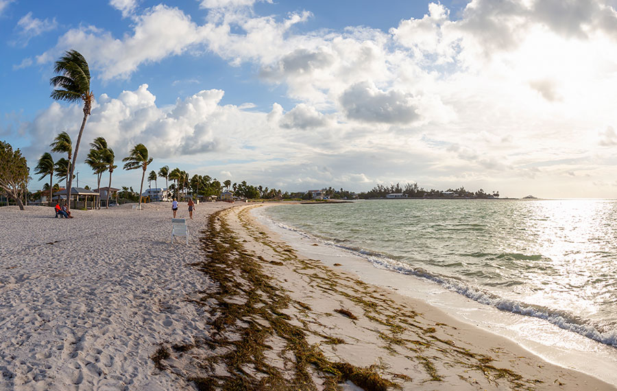 curving view of beach with people and sun through clouds islamorada florida keys